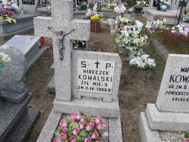 Hireczek Kowalski Psary - Grobonet - Wyszukiwarka osób pochowanych