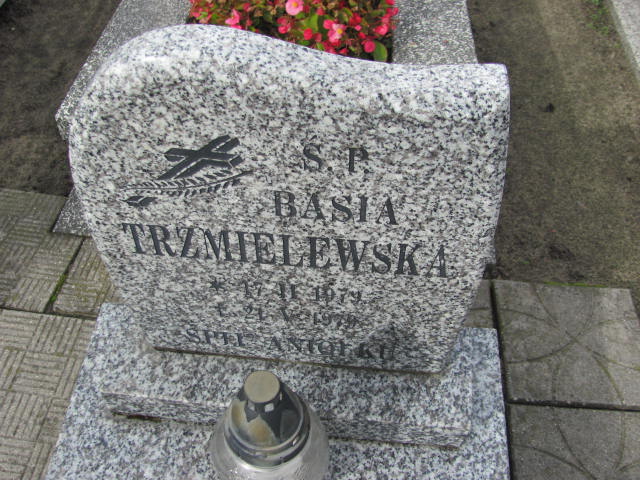 Basia Trzmielewska 1979 Psary - Grobonet - Wyszukiwarka osób pochowanych