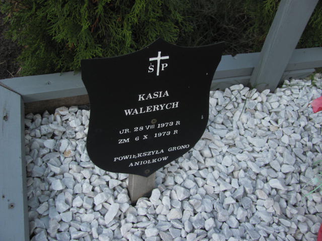 Józinek Wyrębski Psary - Grobonet - Wyszukiwarka osób pochowanych